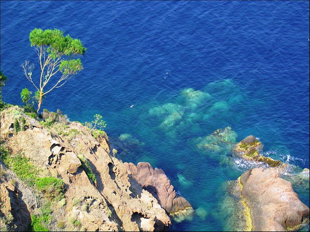 Vacanceole - Les Calanques Du Parc เฟรฌูส ภายนอก รูปภาพ